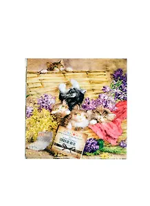 Наб. салф. для декупажа Котята (PLAY/006171) (2шт) (упаковка)