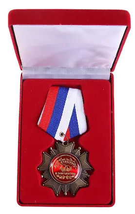 Орден металлический в бархатной коробке За мужество в замужестве (532152) (10х5) 2345655
