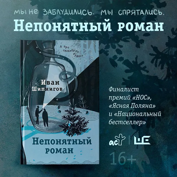 Книга Непонятный роман (Иван Шипнигов) — 13