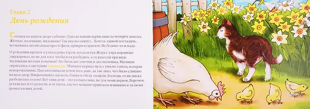 Книга Дневник кошки Баси (Настя Ланда) — 5