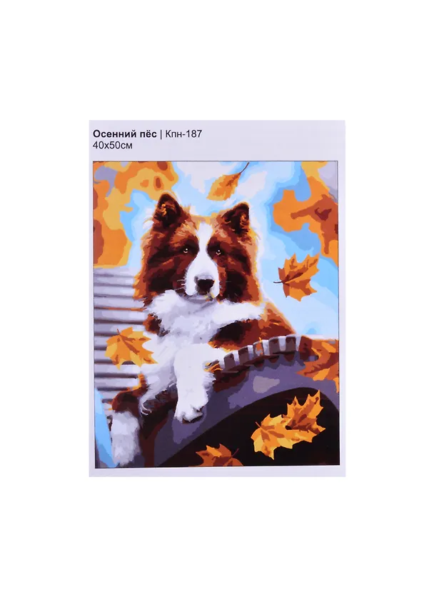 Кпн-187 Картина по номерам Осенний пес (ПочСебяХуд) (40х50 см) (коробка) (LORI) 2853898 — 1