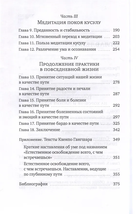 Книга Яркое осознавание. Наставления Кхенпо Гангшара об уме (Кхенчен Трангу) — 4