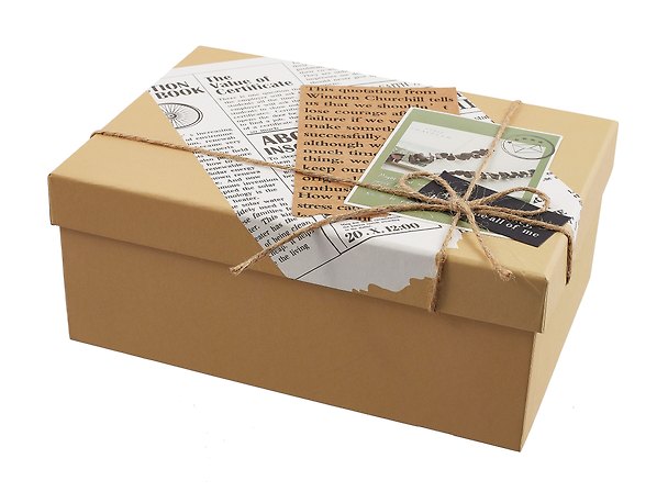 Коробка подарочная "Newspaper" 23*16*9,5см, картон 2981934 — 1