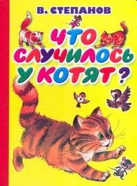 

Карт(бол).Что случилось у котят