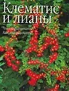 Клематис и лианы