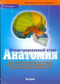 

Анатомия.Илл.атлас