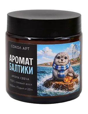  Свеча ароматическая Балтика (Калининград) (100мл) (FH065)  3161015
