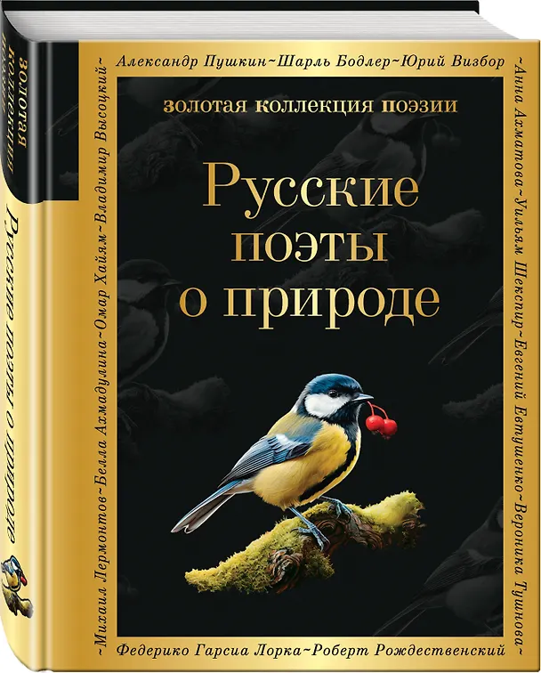 Книга Комплект Родина моя (из 2-х книг Русские поэты о природе Стихотворения о Родине) () — 6