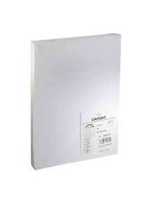 Бумага для пастели А4 "Iris Vivaldi" 240гр/м2, №01 белый, Canson