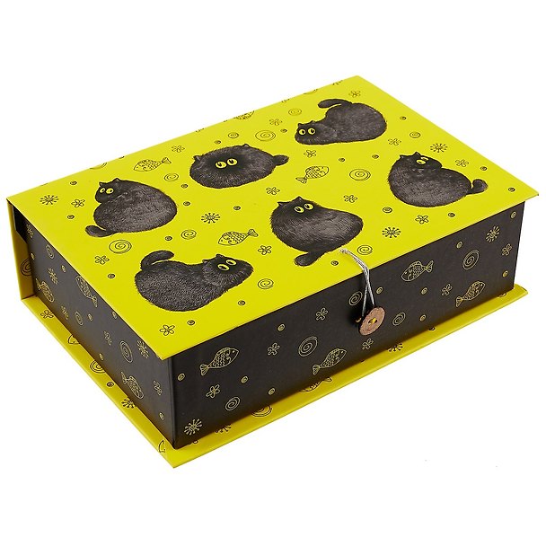 Шкатулка-книга с пуговицей картон M Fat cat (20х13,5х6см) (12-Kairui-RZ-S2-0001-02) 2704635 — 1