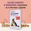 Как натаскать вашу собаку по ЭКОНОМИКЕ и разложить по полочкам основные идеи и понятия науки о рынках — 3020552 — 3