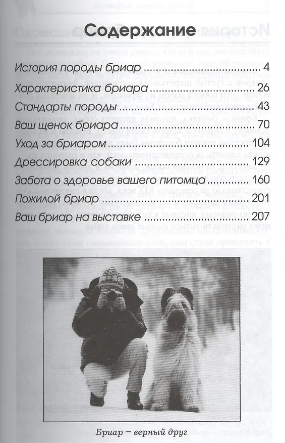 Книга Аквар.Бриар (Дезире Скотт) — 2