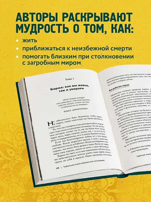 Книга Тибетская Книга мертвых для "чайников". Инструкция по жизни и смерти (Морди Левин, Ринпоче Лама Лхананг) — 7