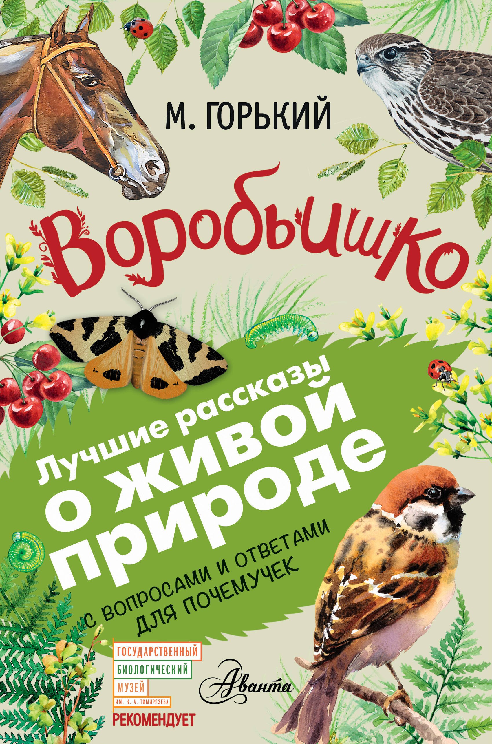 

Воробьишко