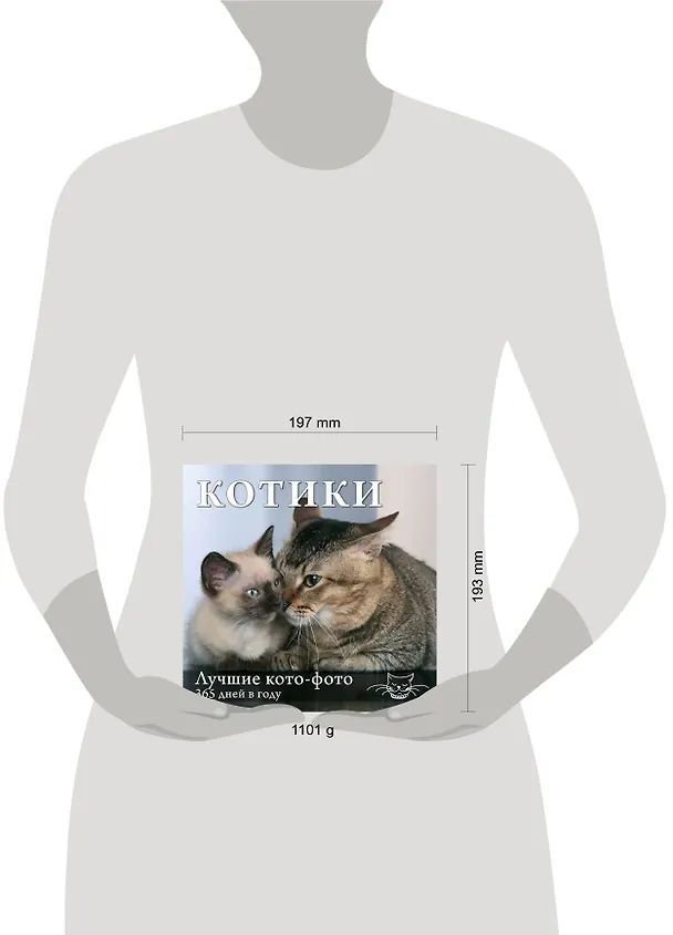 Книга Котики. Лучшие кото-фото. 365 дней в году () — 4