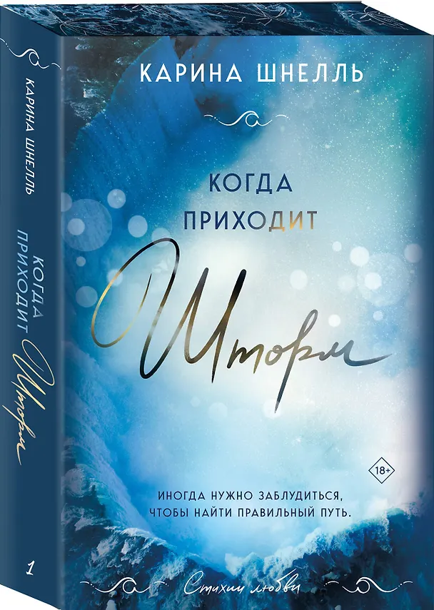 Книга Когда приходит шторм (Карина Шнелль) — 7