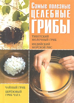 Самые полезные целебные грибы. Чайный гриб, тибетский молочный гриб, березовый гриб чага, индийский морской рис / (Удобная библиотека). Шкитина Е. (Рипол) — 2293026 — 1