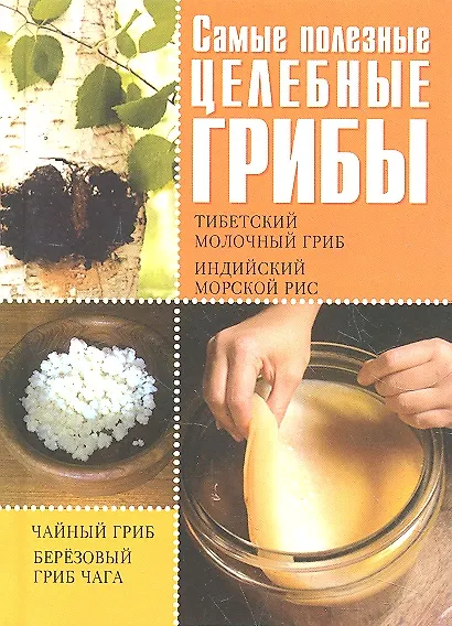 Книга Самые полезные целебные грибы. Чайный гриб, тибетский молочный гриб, березовый гриб чага, индийский морской рис / (Удобная библиотека). Шкитина Е. (Рипол) () — 1