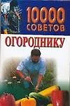 Книга 10000 советов огороднику ()