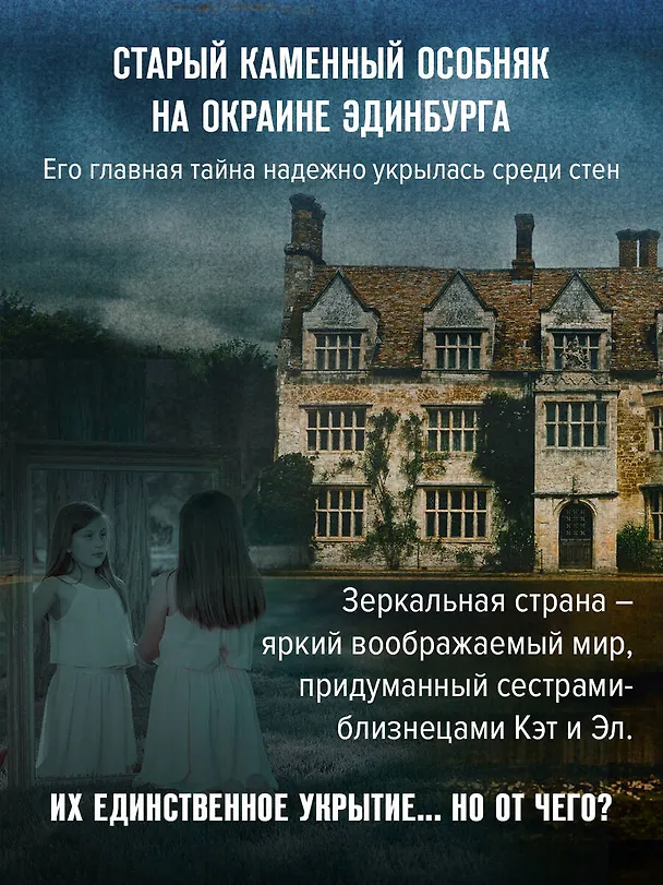 Книга Зеркальная страна (Кэрол Джонстон) — 7