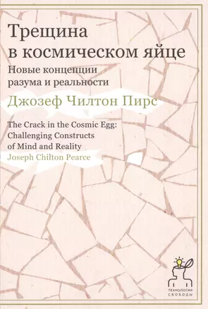 Трещина в космическом яйце. Новые концепции разума и реальности — 2475479 — 1