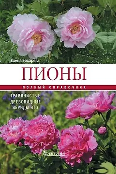 Пионы: травянистые, древовидные, гибриды Ито. Полный справочник