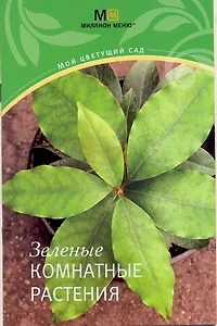 Зеленые комнатные растения