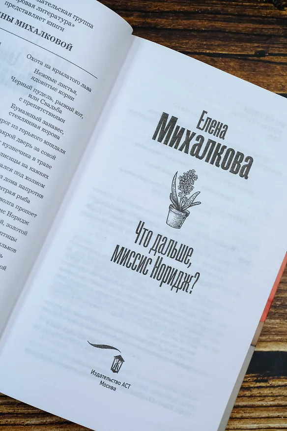 Книга Что дальше, миссис Норидж? (Елена Михалкова) — 9