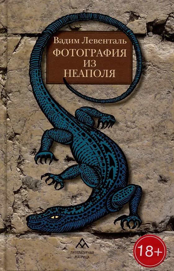 Книга Фотография из Неаполя: повесть, рассказы (Вадим Левенталь) — 1