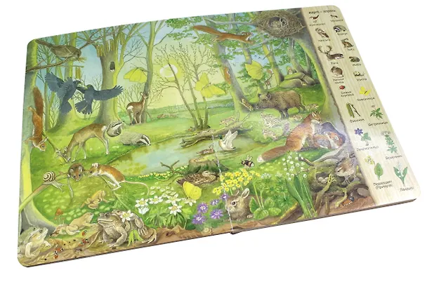 Книга Виммельбух. Времена года (Кристина Хенкель) — 6