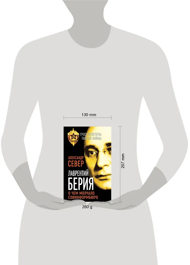 Книга Лаврентий Берия: о чем молчало Совинформбюро (Александр Север) — 4