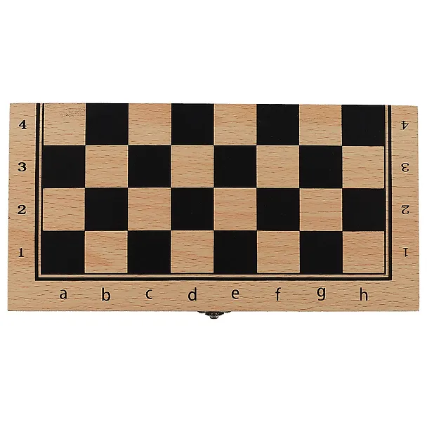 Шахматы с пластиковыми фигурами, 24 х 24 см 2644658 — 6