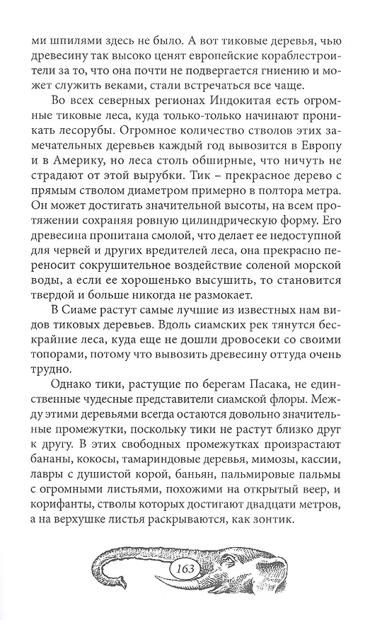 Книга Город Прокаженного короля (Эмилио Сальгари) — 15