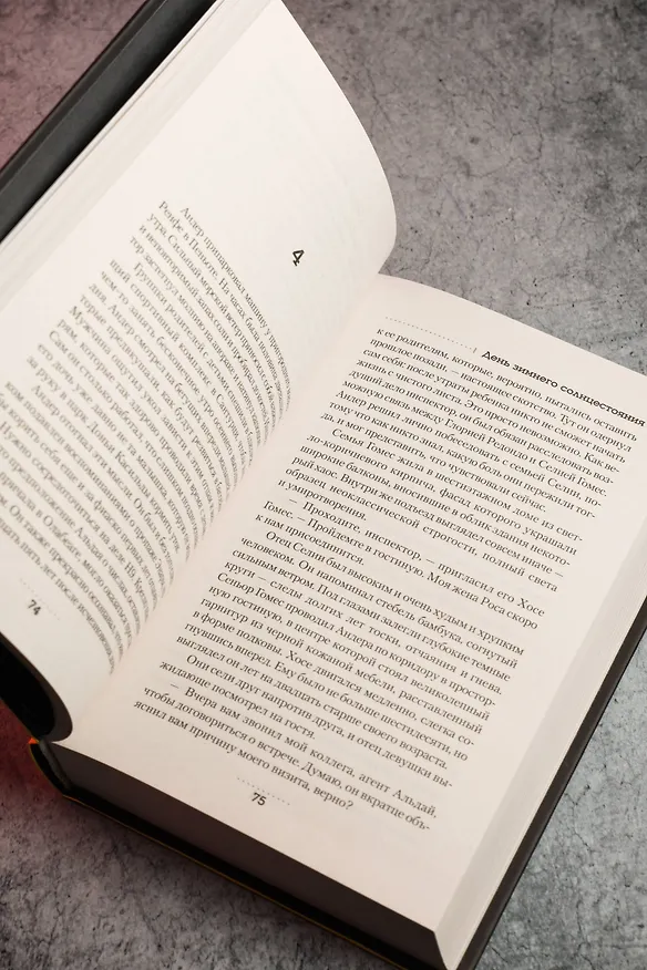 Книга День зимнего солнцестояния (Унаи Гойкоэчеа) — 14