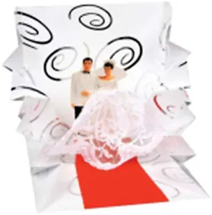 3D открытка Жених и невеста (Bride and Groom) (мини) (TR110) 2384703