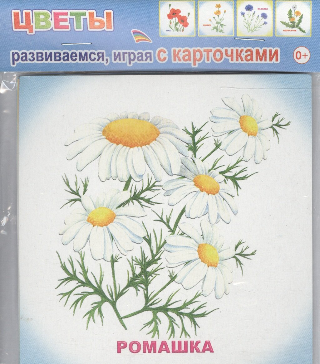 

Обучающие карточки Цветы (упаковка) (978-5-91282-756-3)