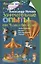 Занимательные опыты, или Чудеса без чудес. Увлекательная физика для маленьких учёных — 2660307 — 1