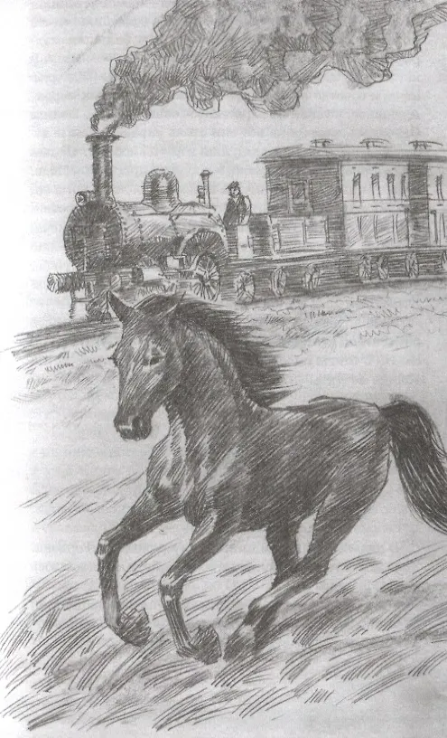 Книга Черный Красавчик (Анна Сьюэлл) — 2