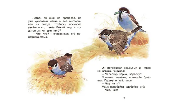 Книга Воробьишко. Сказка (Максим Горький) — 4