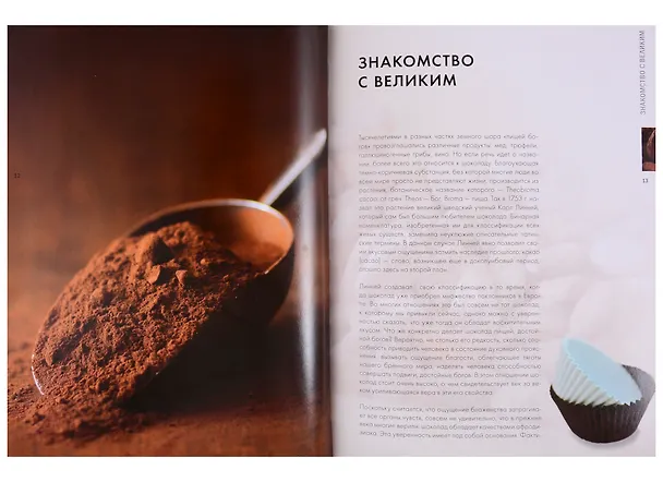 Книга Золотая книга шоколада (Карла Барди) — 3