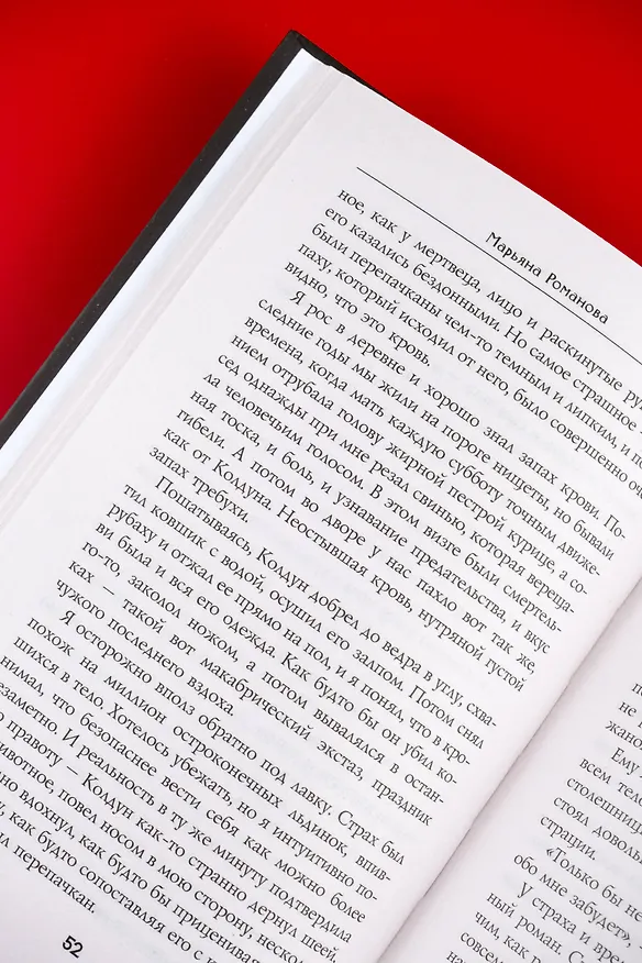 Книга Лицо из зеркального коридора (Марьяна Романова) — 11