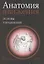 Анатомия движения: основы упражнений — 2849320 — 1