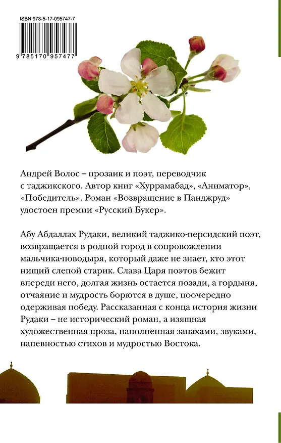 Книга НовРусКлассика Волос Возвращение в Панджруд (РУССКИЙ БУКЕР) (Андрей Волос) — 2