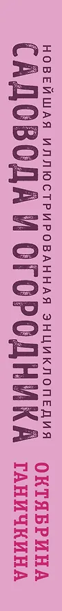 Книга Новейшая иллюстрированная энциклопедия садовода и огородника (светлая) (Октябрина Ганичкина, Александр Ганичкин) — 3