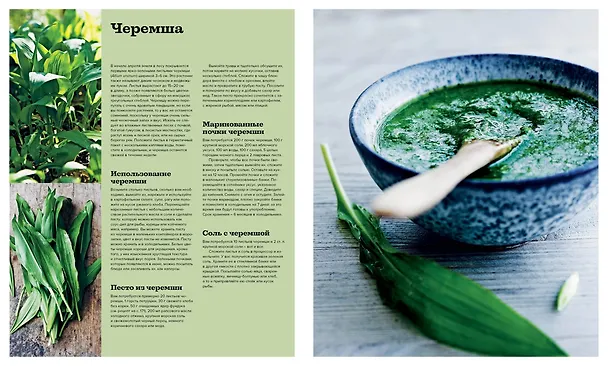 Книга Нордическая кухня. Кулинарные шедевры с северным характером (Клаус Майер) — 7