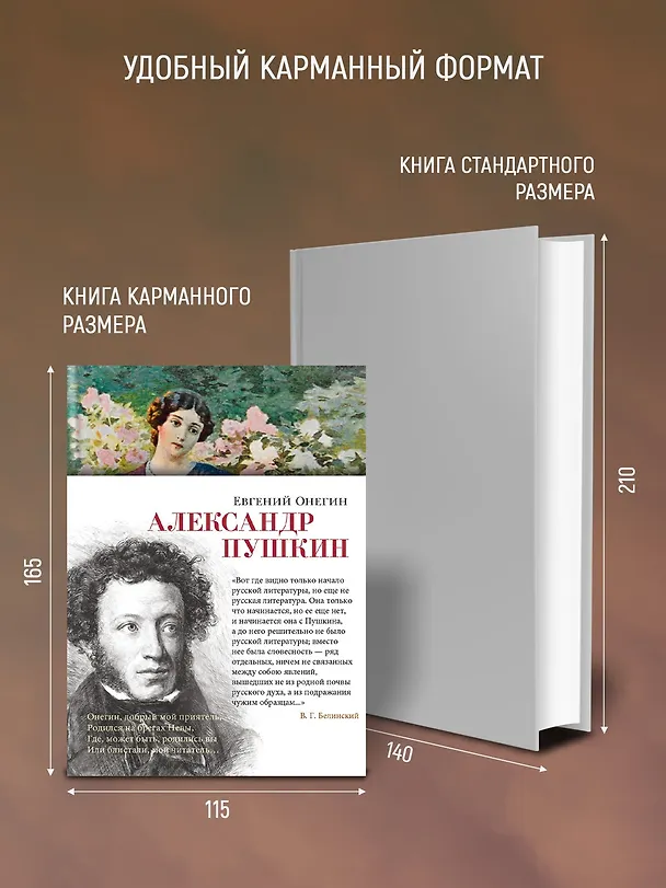 Книга Евгений Онегин (Александр Пушкин) — 7