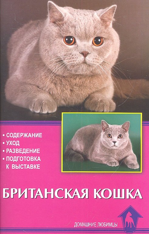 

Британская кошка. Содержание. Уход. Разведение. Подготовка к выставке