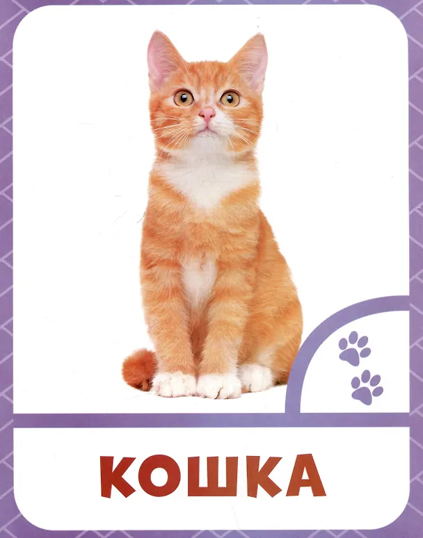 Книга Животные фермы () — 4