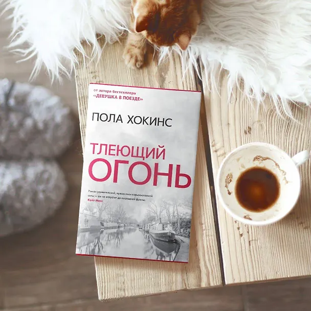 Книга Тлеющий огонь (Пола Хокинс) — 4
