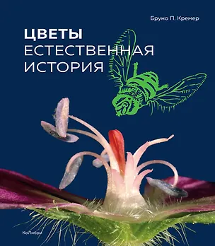 Книга Цветы. Естественная история (Бруно Кремер)